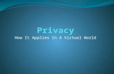 How It Applies In A Virtual World. Introduction Got cookies? Internet explorer What is internet Privacy? How secure your computer, files, and information.