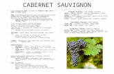 CABERNET SAUVIGNON First identified 1736 in France as Vidure = Dure (hard wood) & Vigne (vine) 1996 Carole Meredith with UC Davis did DNA research which.