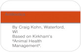 By Craig Kohn, Waterford, WI Based on Kirkham’s “Animal Health Management”. Antibiotics.