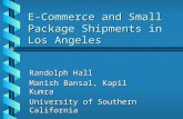 E-Commerce and Small Package Shipments in Los Angeles Randolph Hall Manish Bansal, Kapil Kumra University of Southern California.