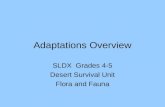 Adaptations Overview SLDX Grades 4-5 Desert Survival Unit Flora and Fauna.