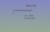 POLISH cinematography in the sixties.. Changes ! The Polish cinematography changed in sixties. Directors still took up the subject of The Second World.