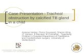 Case Presentation : Tracheal obstruction by calcified TB gland in a child Aneesa Vanker, Pierre Goussard, Sharon Kling, JT Janson, B Barnard, M Connellan.
