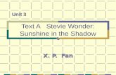 Text A Stevie Wonder: Sunshine in the Shadow X. P. Fan Unit 3.