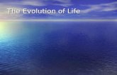The Evolution of Life. Geologic Time The Precambrian – Age of Bacteria The Precambrian – Age of Bacteria 4.6 billion – 545 million years ago.