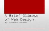 A Brief Glimpse of Web Design By: Samantha Beckett.