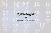 Karyotypes & Genetic Disorders. Karyotypes an organized profile of a person’s homologous chromosomes (somatic cells only) Each pair is organized by size,