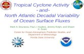 Bourassa@met.fsu.edu smith@coaps.fsu.edu OCO Review 2006 Tropical Cyclone Activity  and  North Atlantic Decadal Variability of Ocean Surface Fluxes Mark.