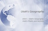 Utah’s Geography Unit I – Utah’s Geography: Utah’s Plants and Animals Unit I – Utah’s Geography: Utah’s Plants and Animals.