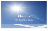Florida The Sunshine State.  After WWII – swampy, flat, marshland began to change with the development of agriculture and urbanization  Land drained.