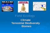 Field Ecology Climate Terrestrial Biodiversity Biomes Biomes.