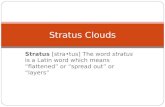 Stratus [stratus] The word stratus is a Latin word which means “flattened” or “spread out” or “layers” Stratus Clouds.
