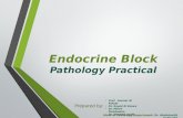 Endocrine Block Pathology Practical Prepared by: Prof. Ammar Al Rikabi Dr. Sayed Al Esawy Dr. Marie Mukhashin Dr. Shaesta Zaidi Head of Pathology Department: