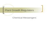 Plant Growth Regulators Chemical Messengers. Hormones In plants, many behavioral patterns and functions are controlled by hormones. These are “chemical.