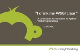 “I drink my WSGI clear” A barebones introduction to Python Web Programming. 3/14/2011.