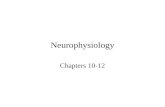 Neurophysiology Chapters 10-12 Control and Integration Nervous system –composed of nervous tissue –cells designed to conduct electrical impulses –rapid.