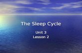 The Sleep Cycle Unit 3 Lesson 2. Objectives: Define sleep Define sleep Identify the main theories of sleep Identify the main theories of sleep Differentiate.