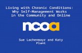 Living with Chronic Conditions: Why Self- Management Works in the Community and Online Sue Lachenmayr and Katy Plant.