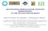 SECOSYSTEM APPROACH FOR STUDYING BIODIVERSITY IN THE SELENGA RIVER BASIN Peter D. Gunin*, Ch. Dugarjav ** and Sergey N. Bazha*, _________________________________________.