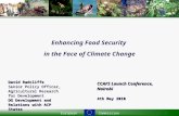 EuropeanCommission Enhancing Food Security in the Face of Climate Change David Radcliffe Senior Policy Officer, Agricultural Research for Development DG.