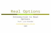 Real Options Introduction to Real Options Prof. Luiz Brandão brandao@iag.puc-rio.br 2009.