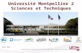 Université Montpellier 2 Sciences et Techniques April 2013.