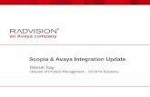 Scopia & Avaya Integration Update Reiner Itay Director of Product Management – SCOPIA Solutions.