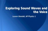Exploring Sound Waves and the Voice Lauren Brendel, AP Physics 1.