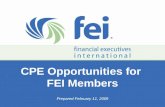 ▪ Networking ▪ Knowledge ▪ Advocacy ▪ Ethical Leadership ▪ ® ® CPE Opportunities for FEI Members Prepared February 11, 2009.