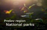Prešov region National parks. National park Pieniny -Abbrev PIENAP -Noticed as national park in 1967 -Situated in the north of Prešov region -The smallest.