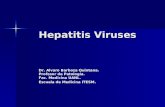 Hepatitis Viruses Dr. Alvaro Barboza Quintana. Profesor de Patología. Fac. Medicina UANL. Escuela de Medicina ITESM.