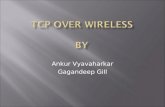 Ankur Vyavaharkar Gagandeep Gill.  TCP overview  TCP fundamentals  Wireless Network  Simulation using Opnet  Mobility and TCP  Improvements.