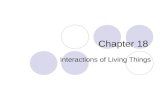 Chapter 18 Interactions of Living Things. What is Ecology? The study of the interactions between organisms and their environment  Interactions between.