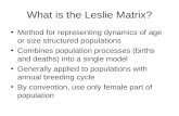 What is the Leslie Matrix? Method for representing dynamics of age or size structured populations Combines population processes (births and deaths) into.