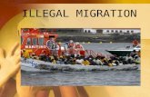 ILLEGAL MIGRATION. World Net Migration Rates Illegal migration -->the movement of people into a country without following its immigration laws and procedures.