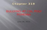 BULLYING AT CAL POLY POMONA June 30, 2015. Stop the Abusive Behavior NOW Stand Up and Speak Out.