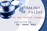 Presented by: Dr/ Gamal Adel.. For non cardiac surgery TETRALOGY OF Fallot.