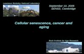 Cellular senescence, cancer and aging Buck Institute for Age Research Lawrence Berkeley National Laboratory September 10, 2005 SENS2, Cambridge.
