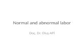 Normal and abnormal labor Doç. Dr. Oluş APİ. Labour (parturition) It is the process where by painful, regular uterine activity (contraction) with progressive.