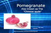 Http:// Pomegranate Also known as The “Chinese apple” By: Lacey Hartsock.