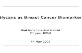 Glycans as Breast Cancer Biomarkers Umi Marshida Abd Hamid 2 nd year DPhil 4 th May 2005.