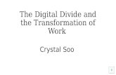The Digital Divide and the Transformation of Work Crystal Soo.