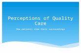 Perceptions of Quality Care How patients view their surroundings.