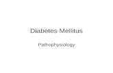 Diabetes Mellitus Pathophysiology. Diabetes Mellitus Literally “sweet urine” Defined by excess blood serum glucose –Normally all glucose in the PCT is.
