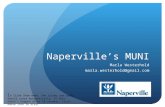 Naperville’s MUNI Marla Westerhold marla.westerhold@gmail.com I n Slide Show mode, the slides and audio should start automatically. If this doesn’t happen.