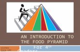 AN INTRODUCTION TO THE FOOD PYRAMID For 4 th Graders Linnea Vong LRC 320.