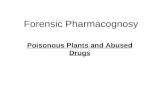 Forensic Pharmacognosy Poisonous Plants and Abused Drugs.