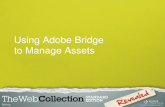 Using Adobe Bridge to Manage Assets. Adobe Bridge is packaged with the Adobe Creative Suite. Adobe Bridge is a media content manager integrated with many.