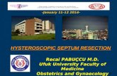 HYSTEROSCOPIC SEPTUM RESECTION Recai PABUÇCU M.D. Ufuk University Faculty of Medicine Obstetrics and Gynaecology Department -January 11-12 2014- 1.