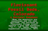 Florissant Fossil Beds, Colorado A National Monument "When the mountains are overthrown and the seas uplifted, the universe at Florissant flings itself.